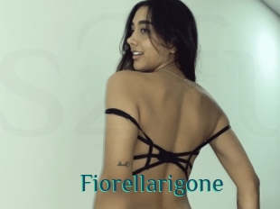 Fiorellarigone