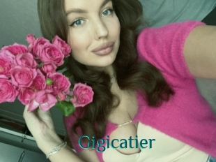 Gigicatier