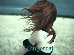 Gingercat