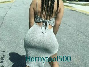 Hornytool500