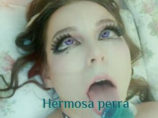 Hermosa_perra