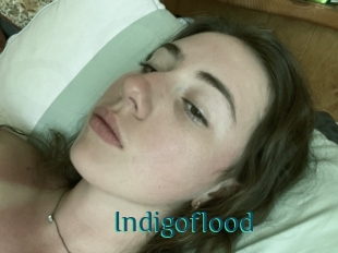 Indigoflood