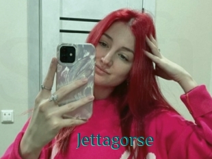 Jettagorse