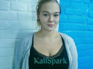 KaliSpark