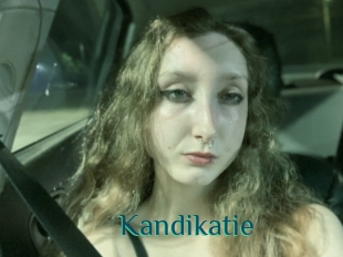 Kandikatie