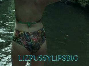 LIZPUSSYLIPSBIG