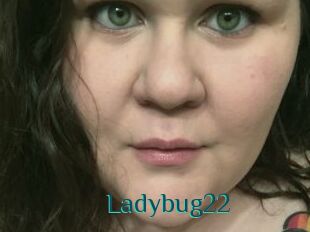 Ladybug22