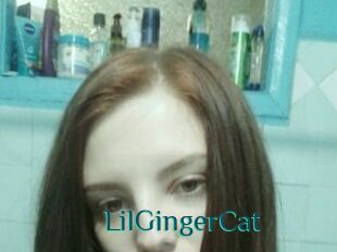 LilGingerCat