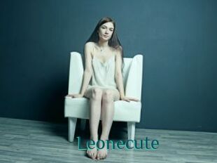 Leonecute