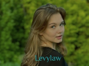 Levylaw