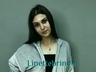Linettebrindle