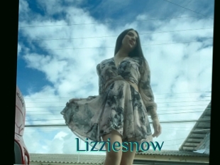 Lizziesnow