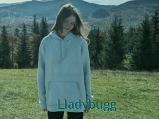 Lladybugg