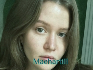 Maehartill