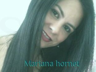 Mariana_hornet