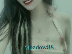 Meadow88