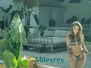 Mileyrey