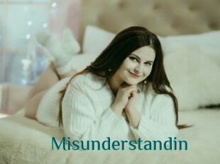 Misunderstandin