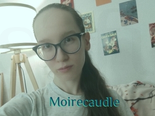 Moirecaudle