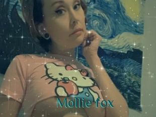 Mollie_fox