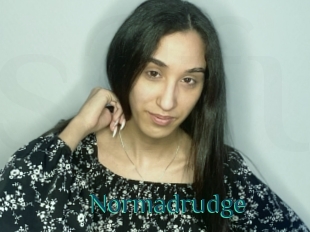 Normadrudge