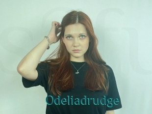 Odeliadrudge