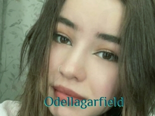 Odellagarfield