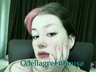 Odellagreenhouse