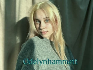 Odelynhammett