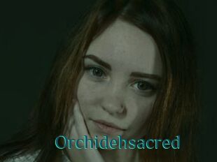Orchidehsacred
