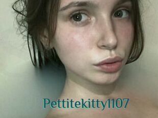 Pettitekitty1107