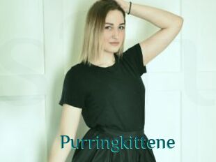 Purringkittene