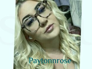 Paytonnrose