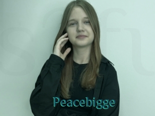 Peacebigge