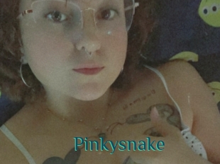 Pinkysnake