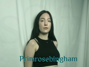 Primrosebingham