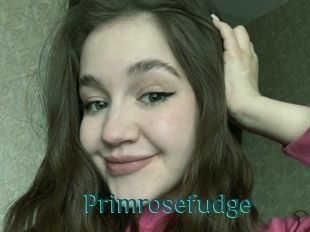 Primrosefudge