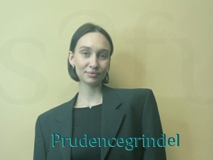 Prudencegrindel