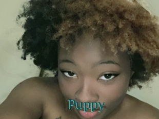 Puppy