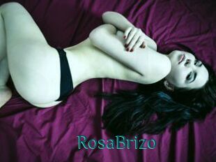 RosaBrizo