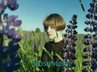 RosaMalet