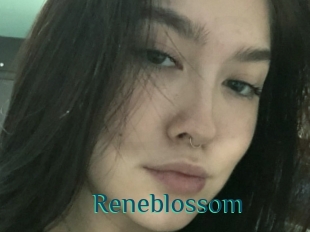 Reneblossom