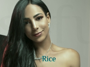 Rice
