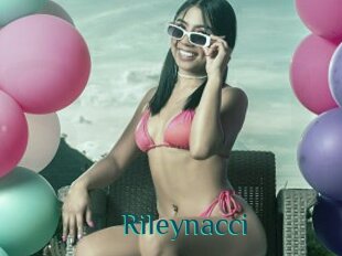 Rileynacci