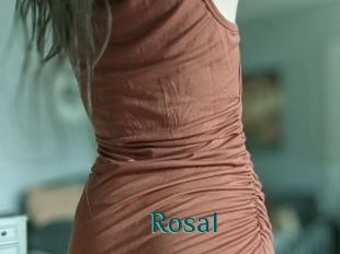 Rosa1