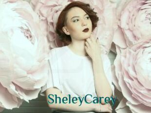 SheleyCarey