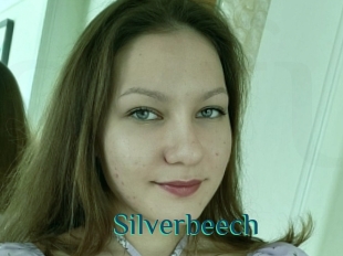 Silverbeech