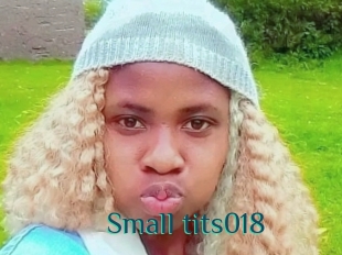Small_tits018