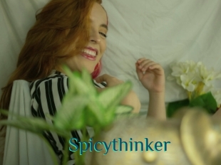 Spicythinker