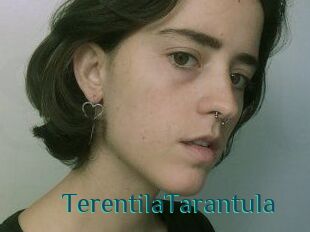 TerentilaTarantula